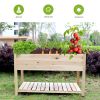 Raised Garden Bed Planter Box with Legs & Storage Shelf Wooden Elevated Vegetable Growing Bed for Flower/Herb/Backyard/Patio/Balcony 48.5x30x24.4in(co