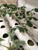 NFT Hydroponics System with 108 Holes Kits; Vertical Hydroponic Growing Systems PVC Tube Plant Vegetable