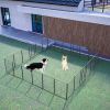 40" Outdoor Fence Heavy Duty Dog Pens 24 Panels Temporary Pet Playpen with Doors