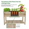 Raised Garden Bed Planter Box with Legs & Storage Shelf Wooden Elevated Vegetable Growing Bed for Flower/Herb/Backyard/Patio/Balcony 48.5x30x24.4in(co