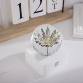 Dandelion Sunflower Specimen 8cm Small Night Light Desktop Decoration (Option: Star celery flower-USB)