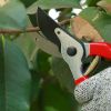 Garden Tools Professional Hand Pruning Shears