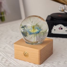 Wooden Base Flower Specimen Night Lamp (Option: Black nigella-USB)