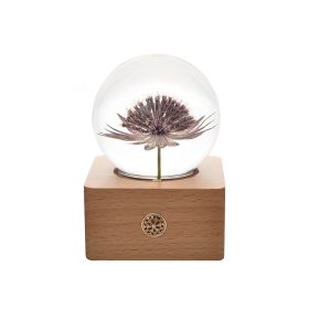 Wooden Base Flower Specimen Night Lamp (Option: Star celery flower-USB)